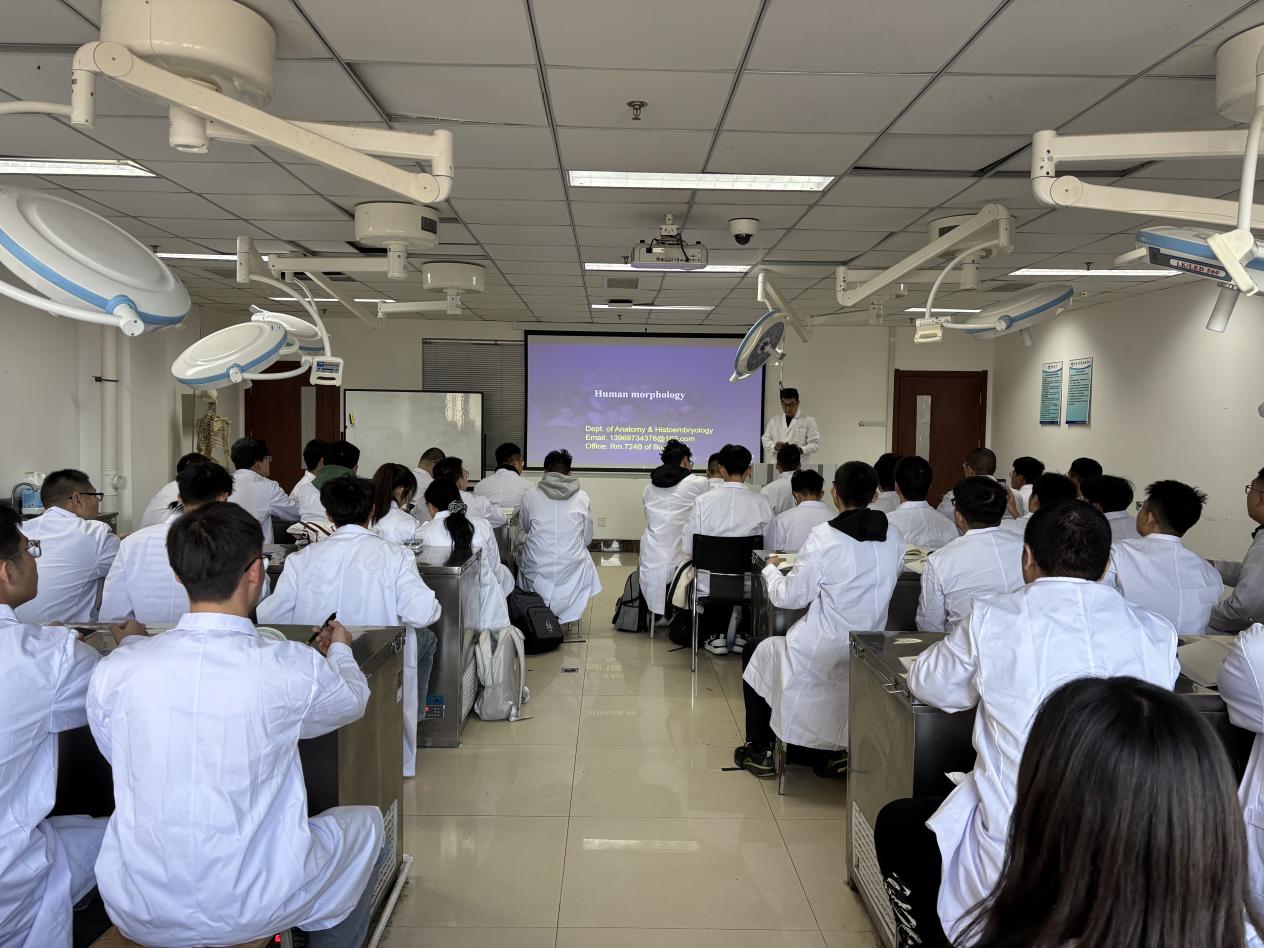 e9d515b246e7a5337491823fd529ace